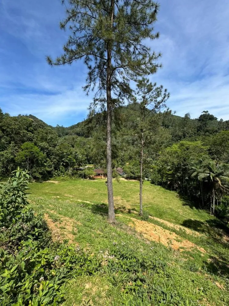 Chácara, 5 quartos, 2 hectares - Foto 14