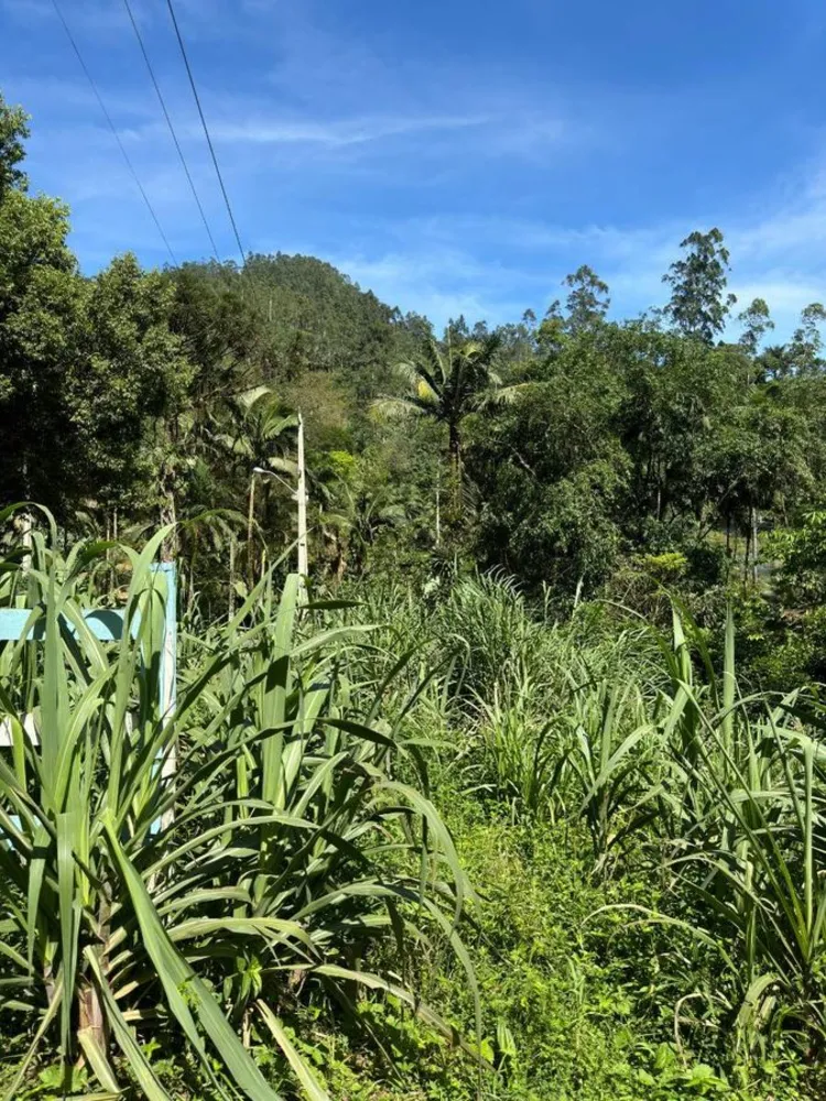 Chácara, 5 quartos, 2 hectares - Foto 4