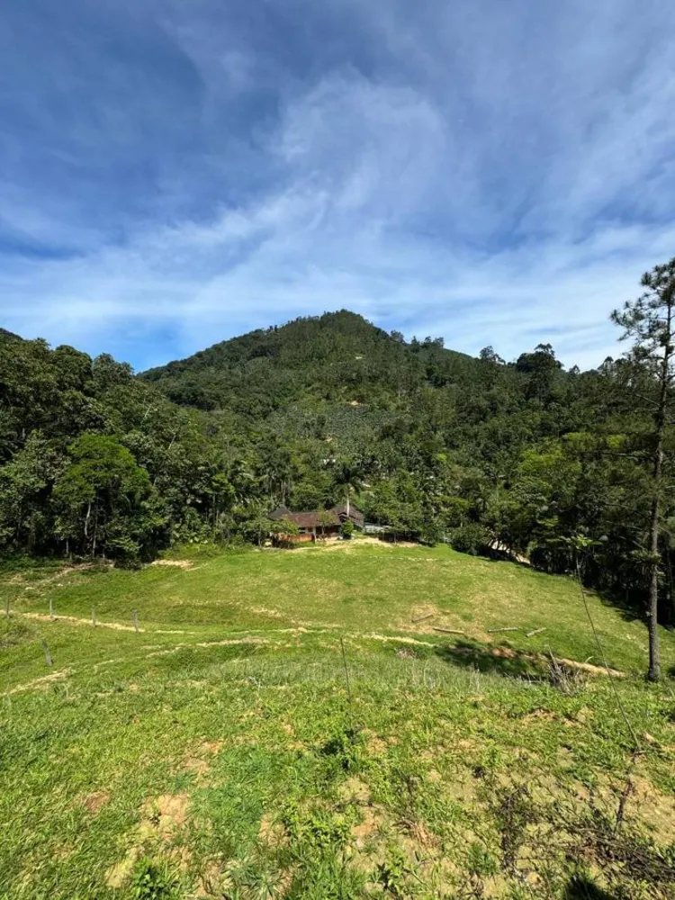 Chácara, 5 quartos, 2 hectares - Foto 15
