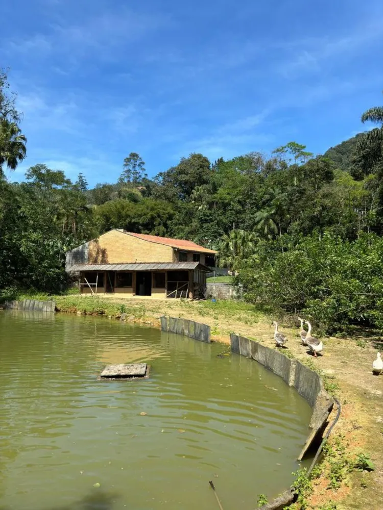 Chácara, 5 quartos, 2 hectares - Foto 13