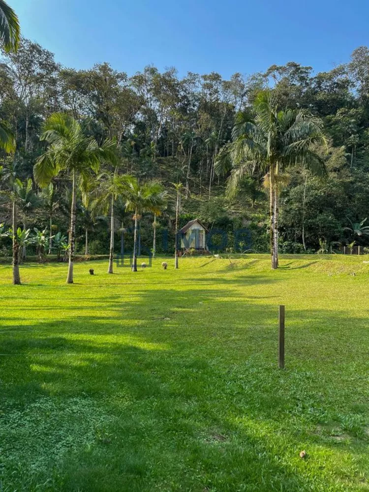 Fazenda à venda com 3 quartos, 2000000m² - Foto 7