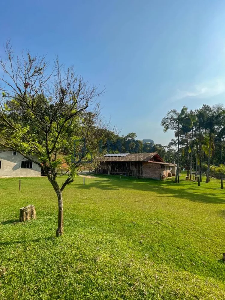 Fazenda à venda com 3 quartos, 2000000m² - Foto 5