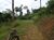 Chácara, 2 hectares - Foto 13