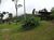 Chácara, 2 hectares - Foto 8