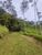 Chácara, 11 hectares - Foto 4
