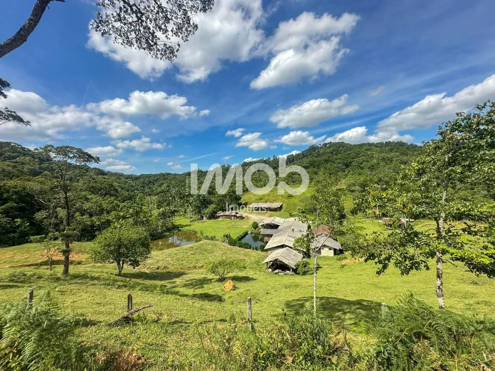 Sítio, 32 hectares - Foto 2