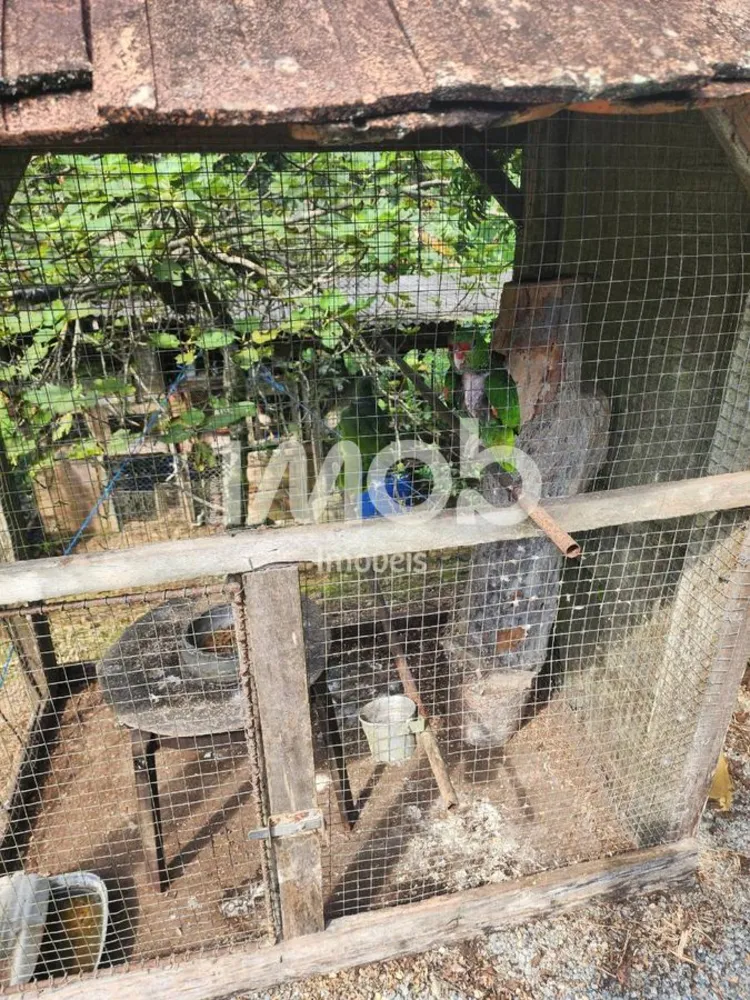 Chácara, 3 quartos, 7 hectares - Foto 12