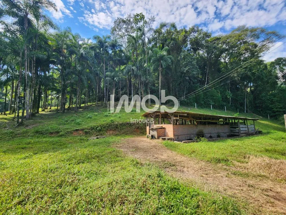 Chácara, 3 quartos, 7 hectares - Foto 2