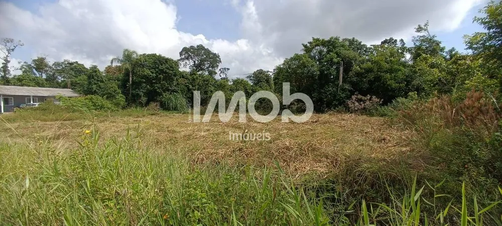 Terreno, 256 m² - Foto 1