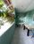 Casa, 3 quartos, 100 m² - Foto 1