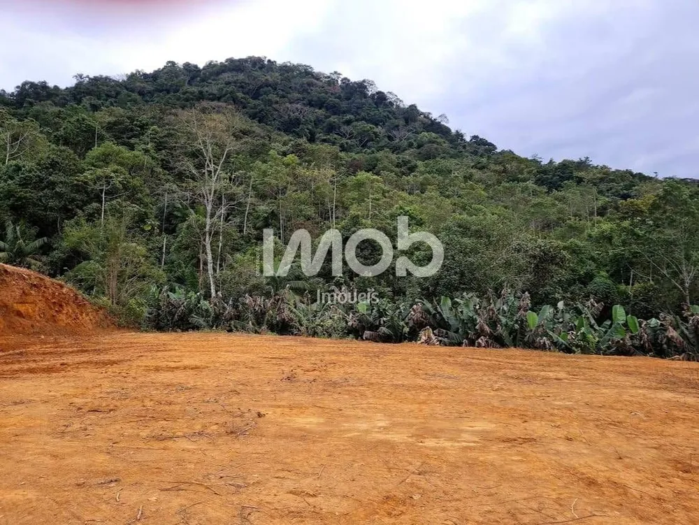 Chácara, 10000 m² - Foto 3