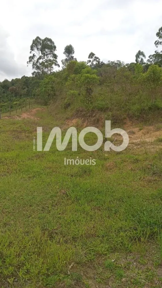 Terreno, 2 hectares - Foto 3
