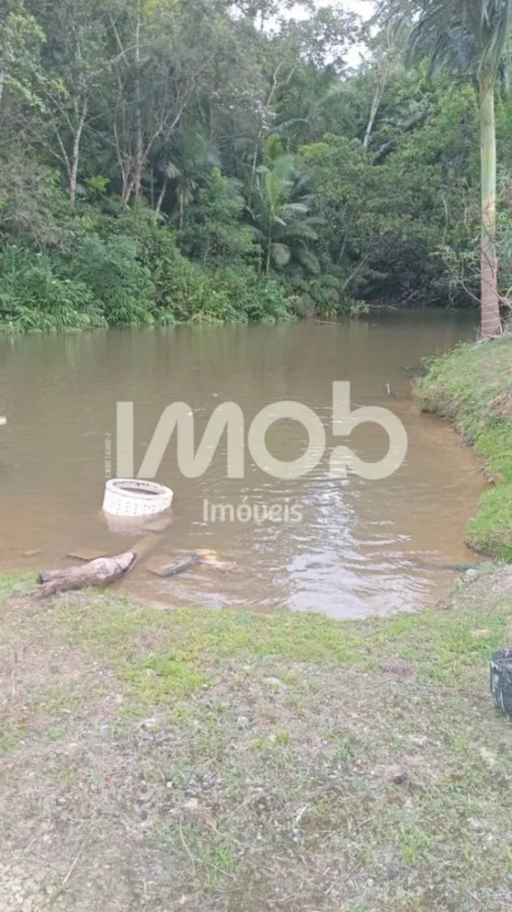 Terreno, 2 hectares - Foto 8