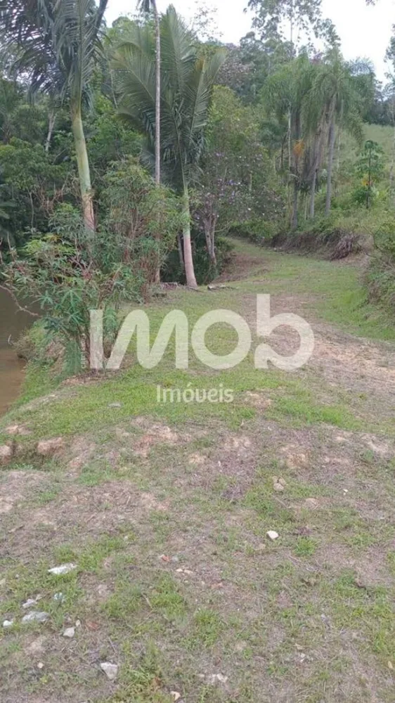 Terreno, 2 hectares - Foto 4