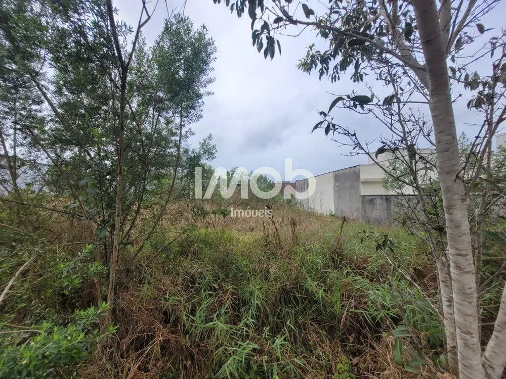 Terreno, 378 m² - Foto 3