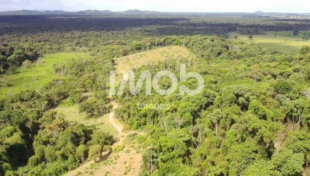 Terreno, 29 hectares - Foto 3