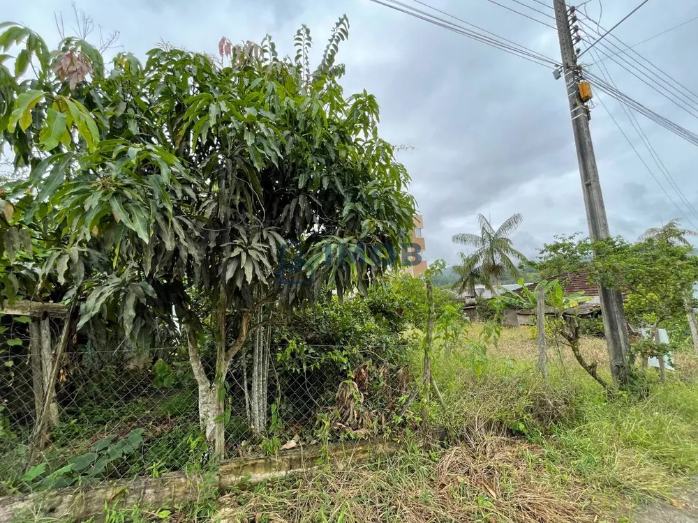 Terreno à venda, 408m² - Foto 3