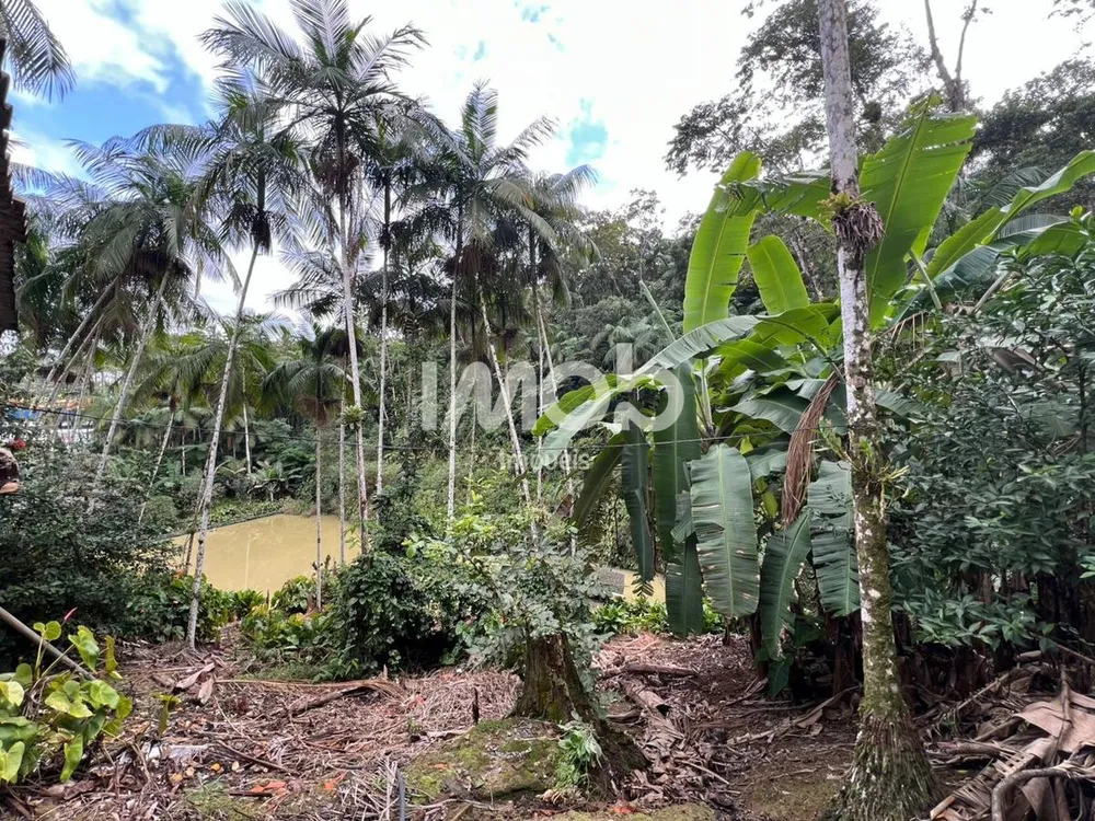 Casa, 3 quartos, 450 m² - Foto 4