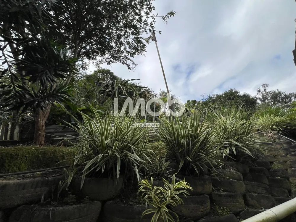 Casa, 3 quartos, 450 m² - Foto 3