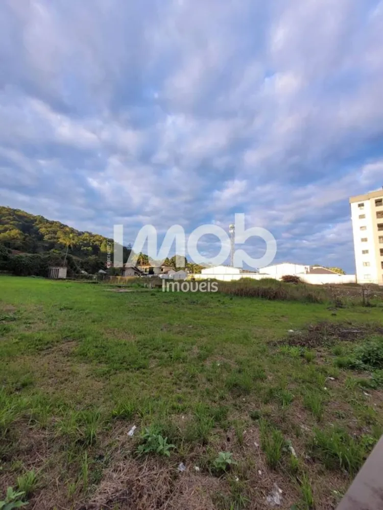 Terreno - Foto 2
