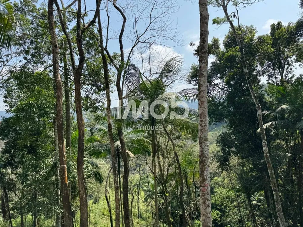 Terreno, 2 hectares - Foto 12