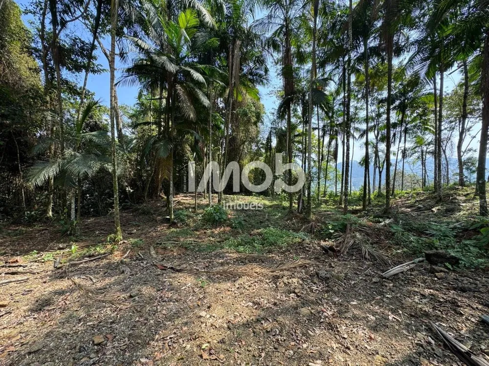 Terreno, 2 hectares - Foto 9