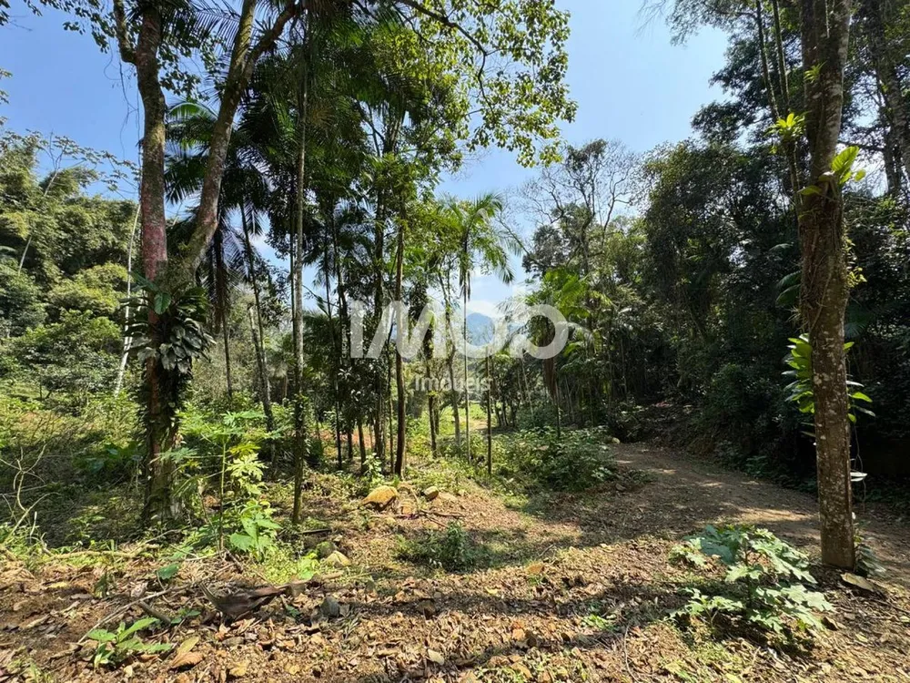 Terreno, 2 hectares - Foto 3
