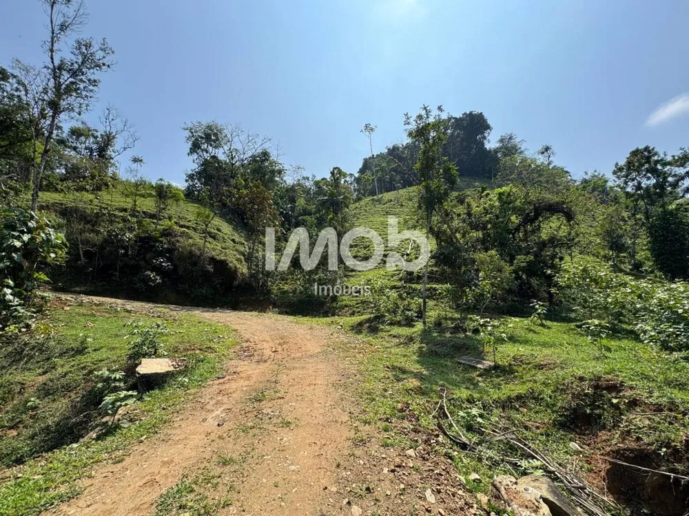 Terreno, 2 hectares - Foto 6