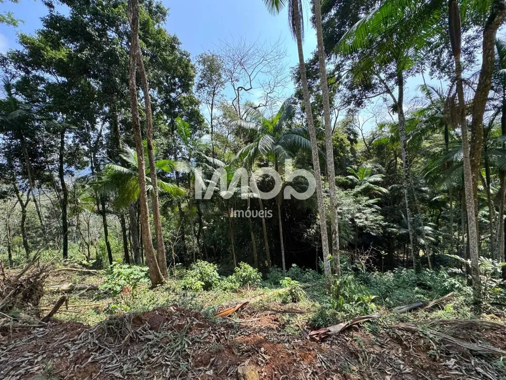 Terreno, 2 hectares - Foto 11