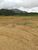 Terreno, 45 hectares - Foto 1