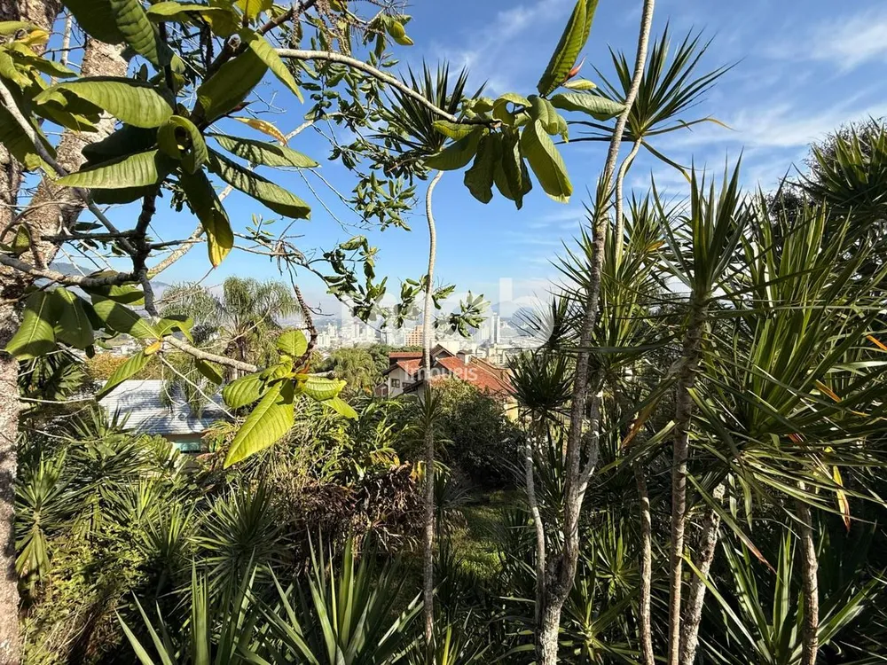Terreno, 5759 m² - Foto 6