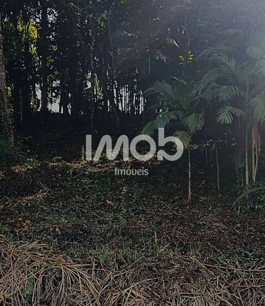 Terreno - Foto 1
