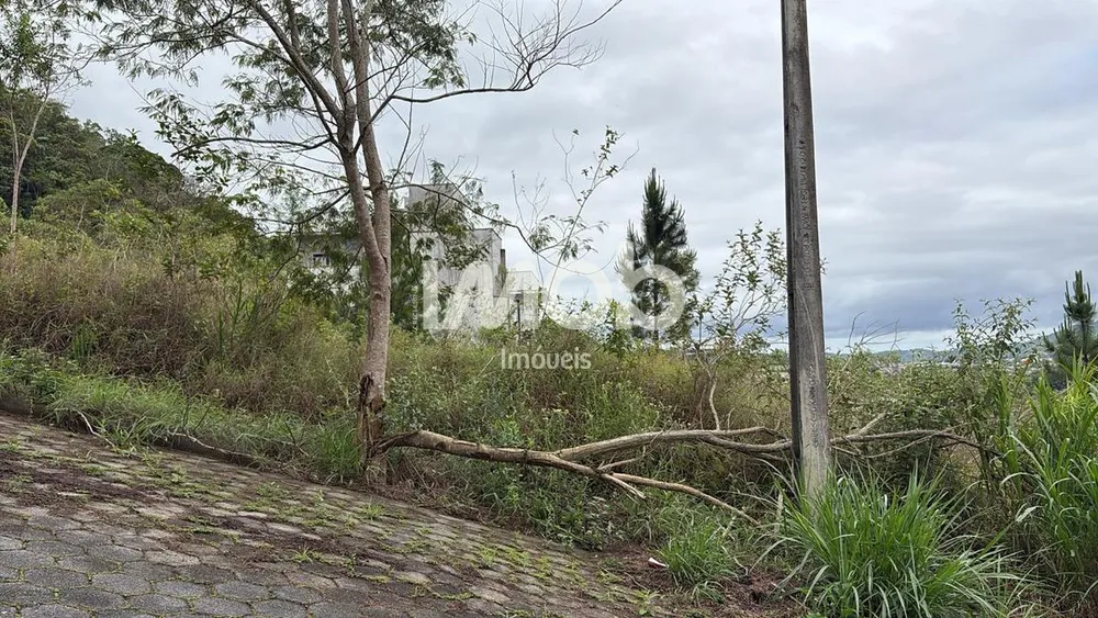 Terreno, 392 m² - Foto 2