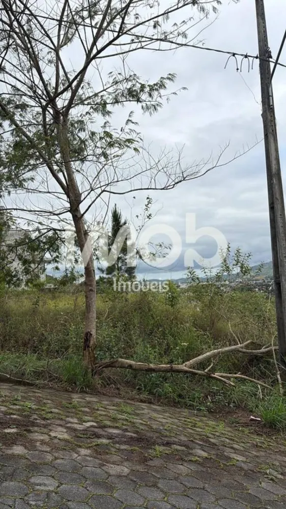 Terreno, 392 m² - Foto 1