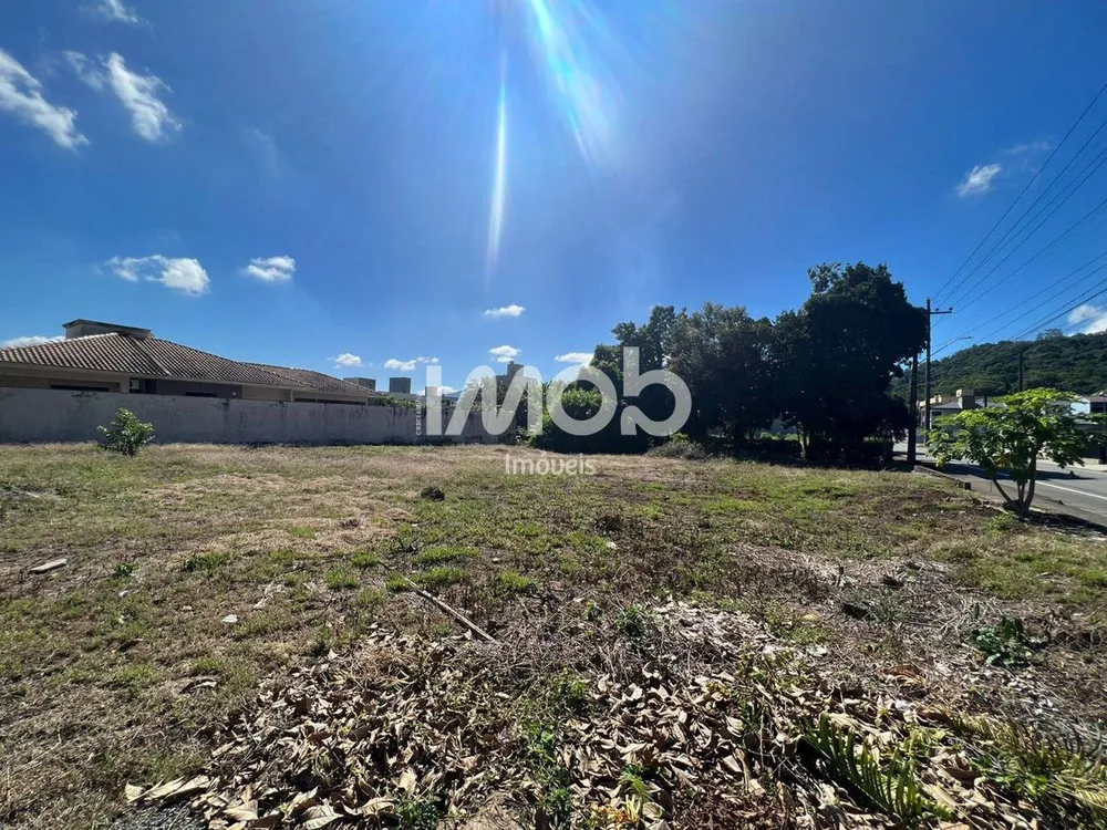 Terreno, 492 m² - Foto 1