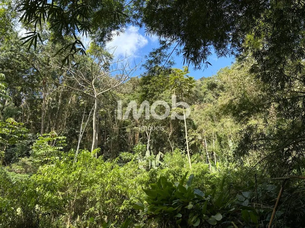 Chácara, 7 hectares - Foto 1