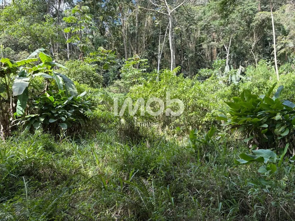Chácara, 7 hectares - Foto 2