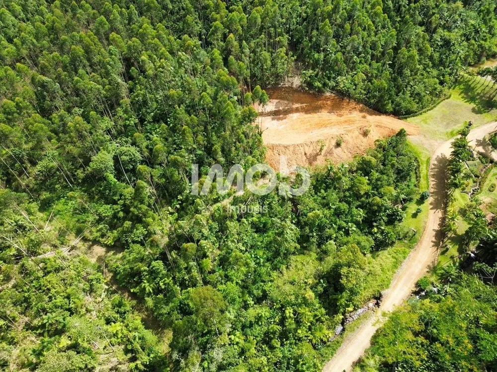 Terreno, 2 hectares - Foto 4