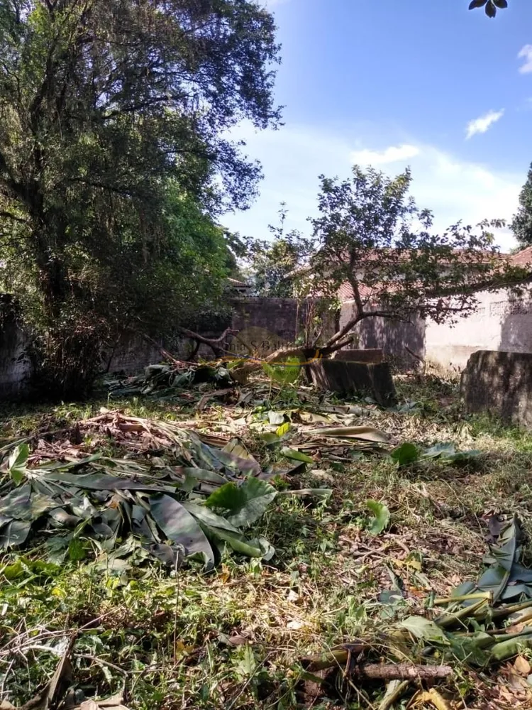 Terreno, 1280 m² - Foto 4