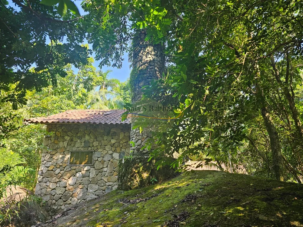 Chácara, 1 hectares - Foto 8