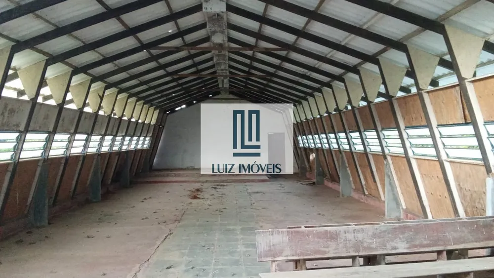 Sítio, 40 quartos, 333800 m² - Foto 11