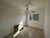 Apartamento, 2 quartos, 71 m² - Foto 7
