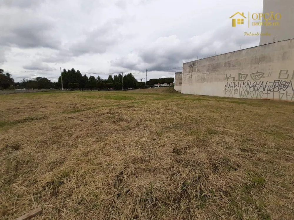 Terreno, 2578 m² - Foto 4