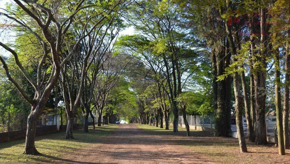 Chácara, 3 quartos, 5000 m² - Foto 11