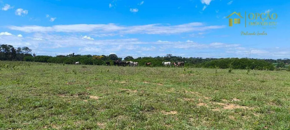 Sítio, 7 quartos, 29 hectares - Foto 19