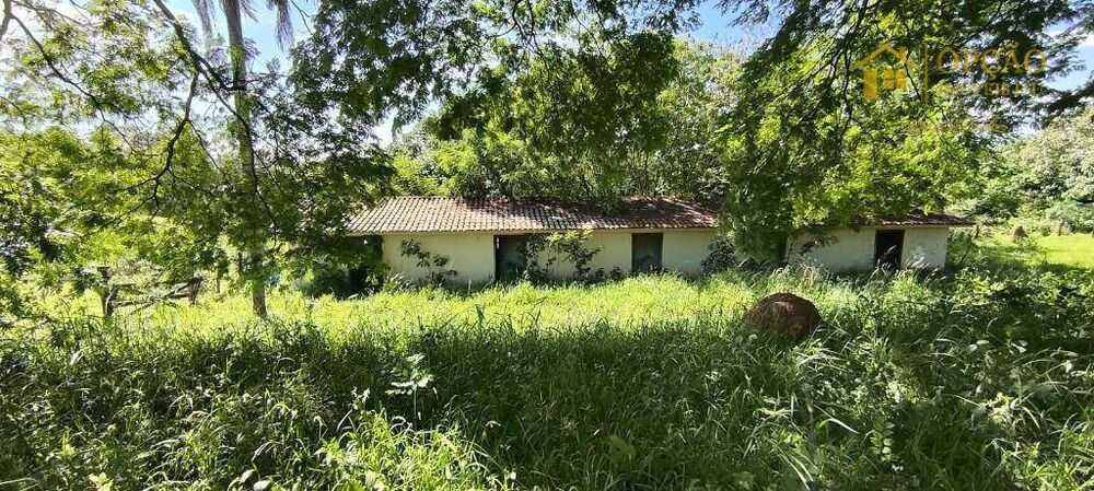 Sítio, 7 quartos, 29 hectares - Foto 4