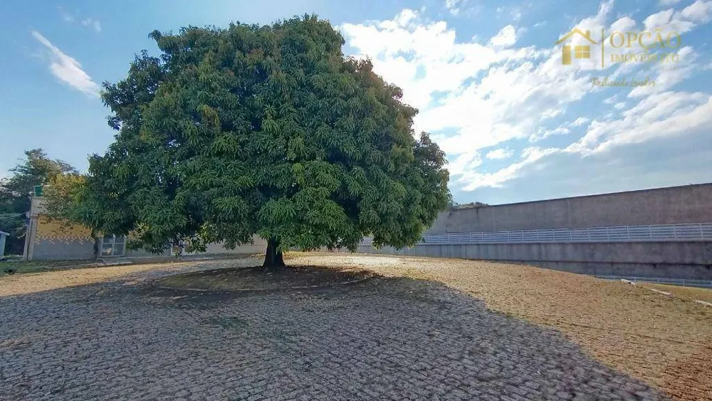 Depósito-Galpão, 8000 m² - Foto 6