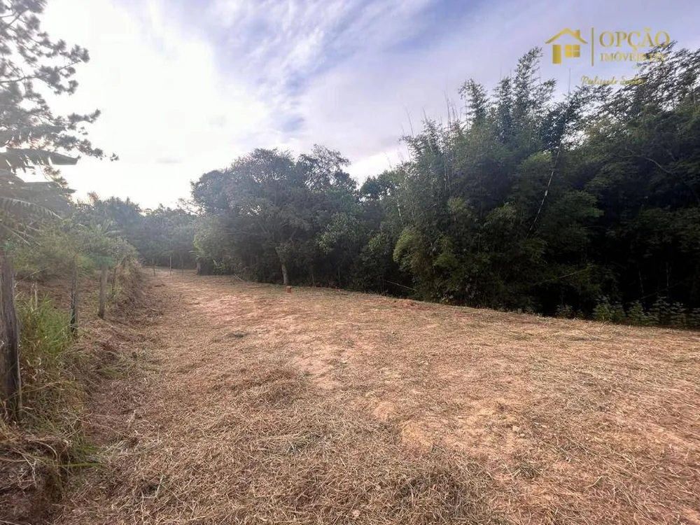 Terreno, 2504 m² - Foto 6