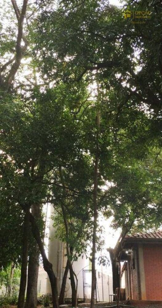 Casa de Condomínio, 3 quartos - Foto 16