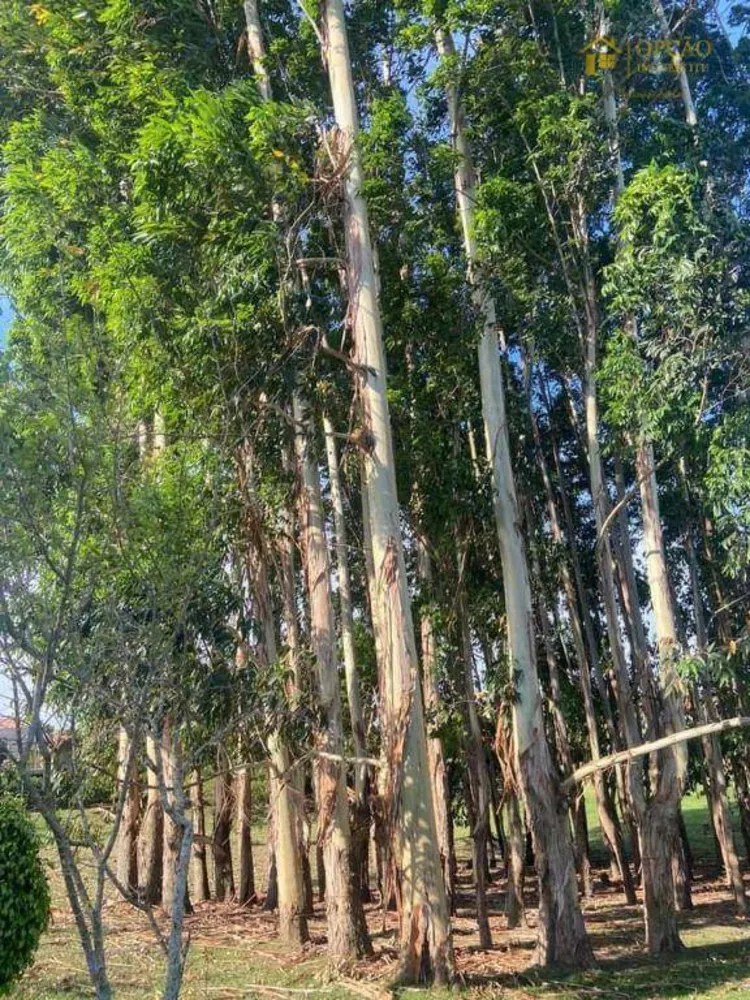 Casa de Condomínio, 4 quartos - Foto 15